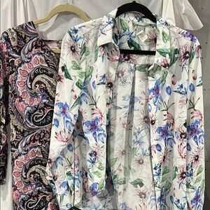 White Sold Cream Button Down Shirt with Notched Collar